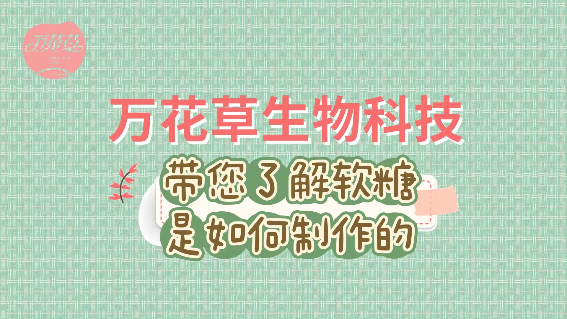 軟糖代加工生產(chǎn)工藝流程，帶您了解糖果是如何制作的