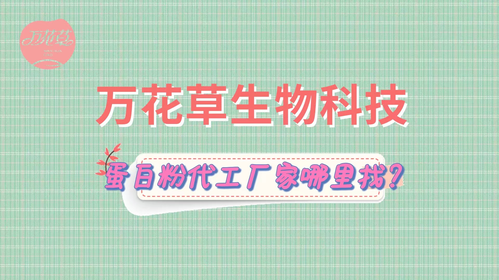 蛋白粉代加工，怎么找專業(yè)源頭廠家？