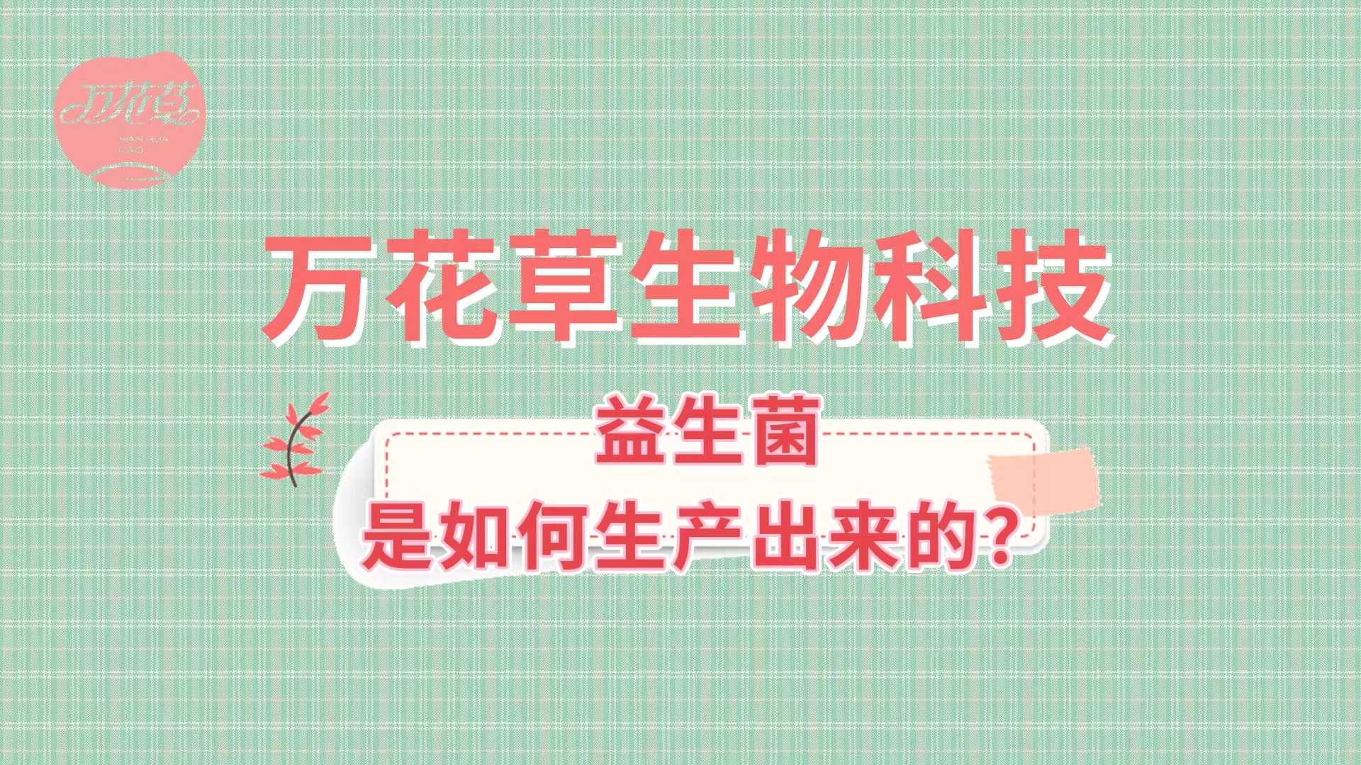 帶您了解益生菌是如何生產(chǎn)出來(lái)的,好的廠(chǎng)家哪里找？