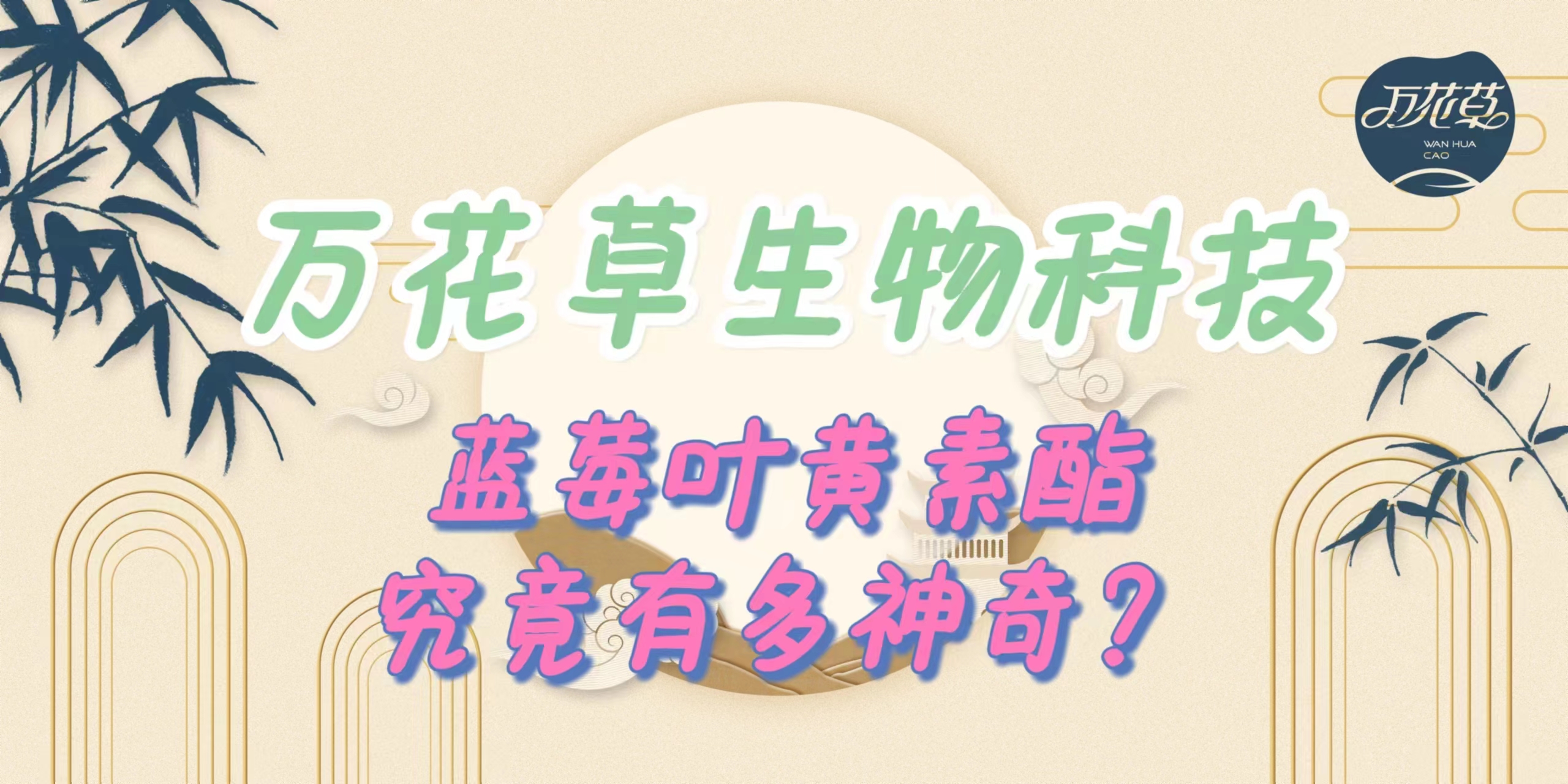 升級配方，重磅出擊，萬花草藍(lán)莓葉黃素酯究竟有多神奇？