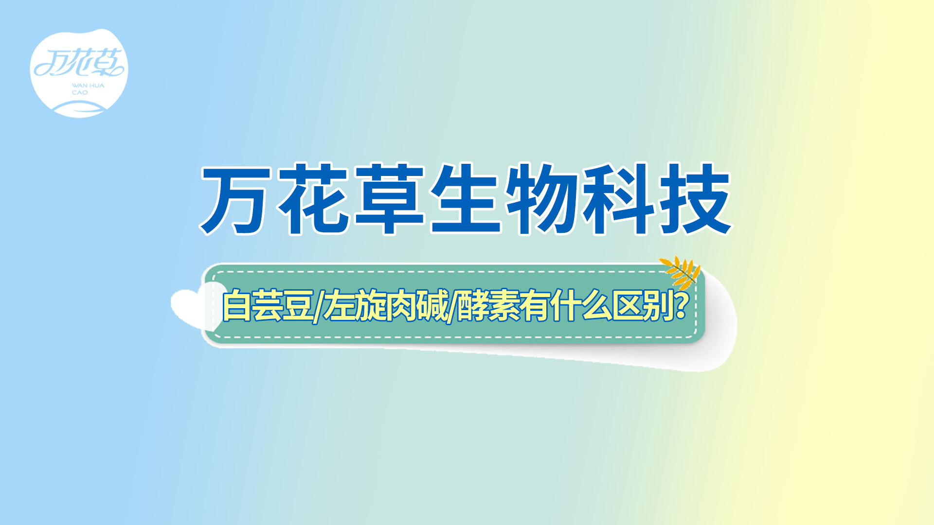 白蕓豆、左旋肉堿、嗨吃酵素有什么區(qū)別？