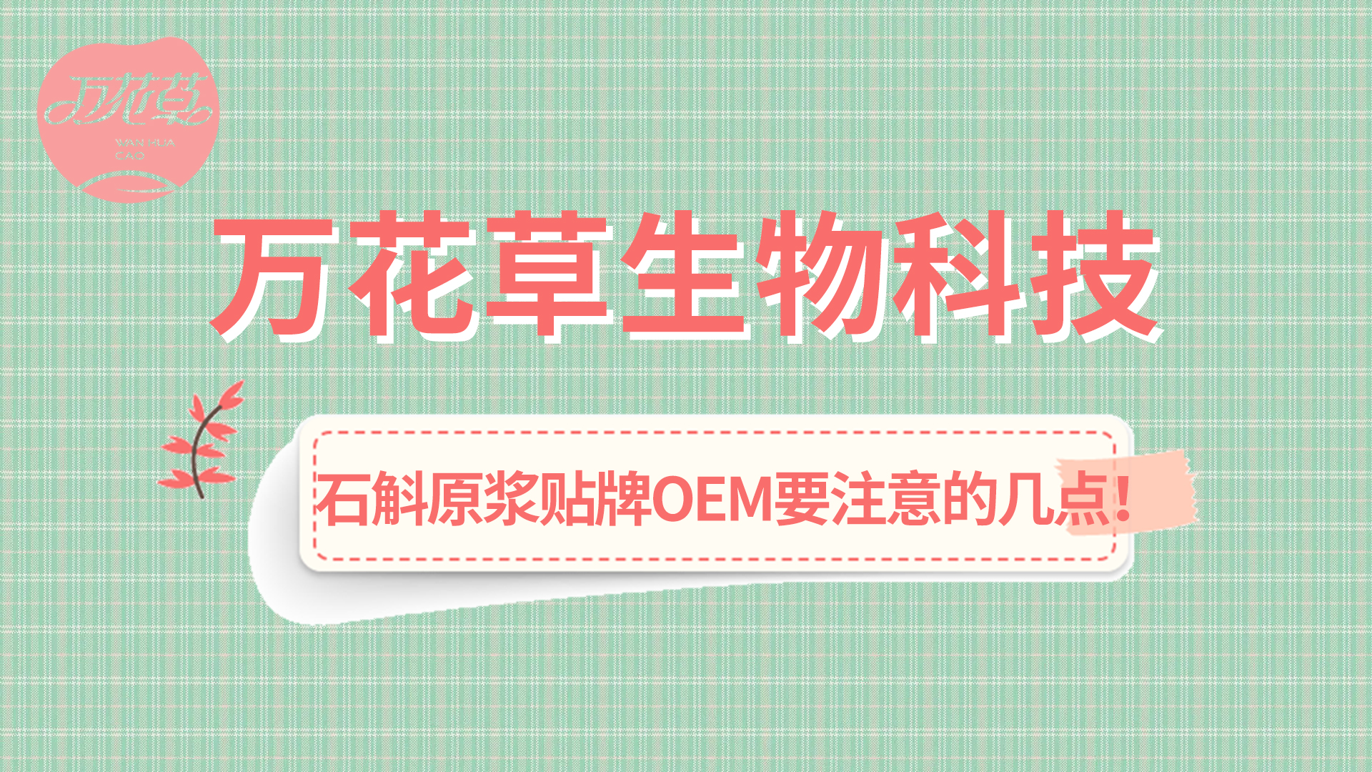 石斛原漿貼牌oem您需要注意哪幾點？